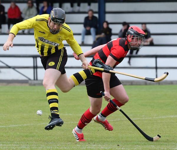 The South Shinty Round up - 23rd May 2026