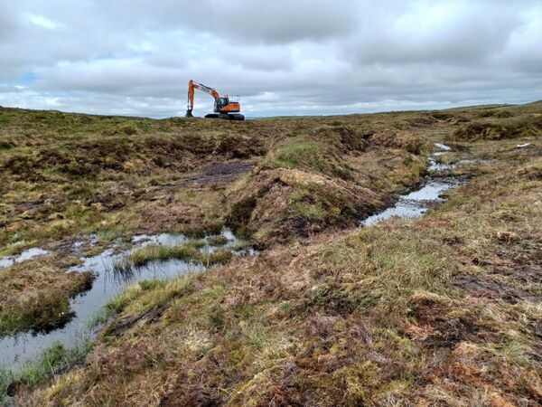 Loch Awe sites take part in peatland restoration project