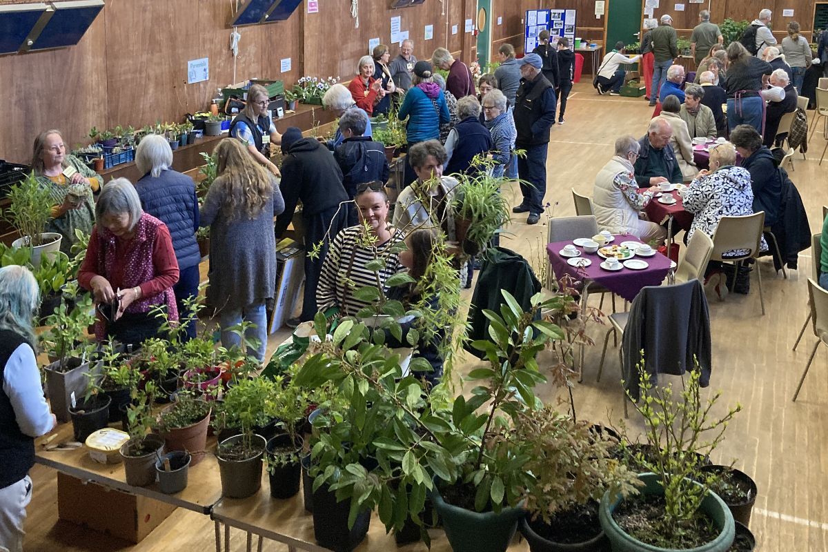 Committee and friends before the 2026 plant sale.