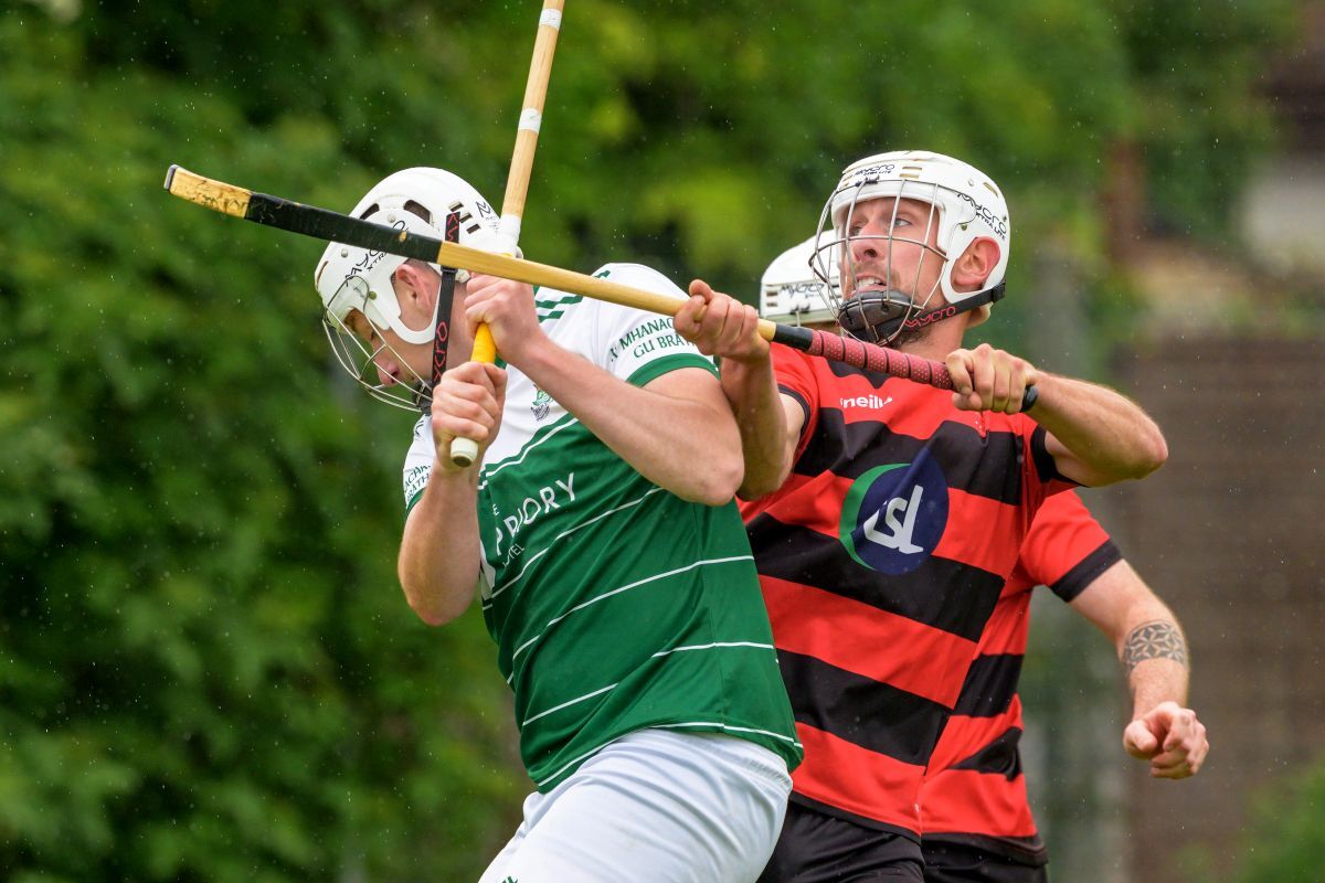 The South Shinty Round up - June 1 2026