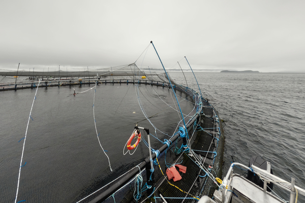 Denmark&rsquo;s fish farmers to appeal against judgment on licence renewals