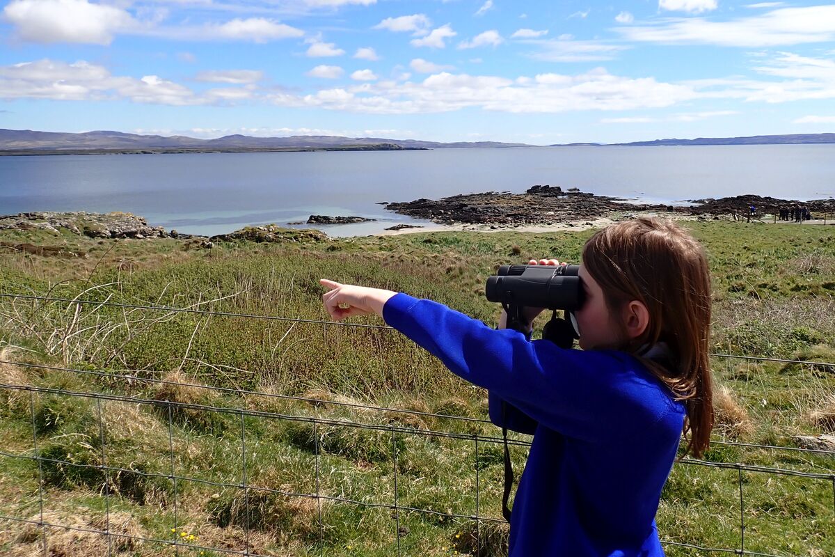 no t23 hwdt children use binoculars 