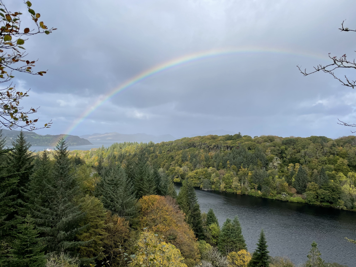 Invasive species on show in Aros Park