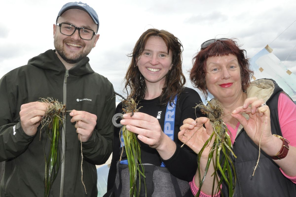Hands-on with seagrass at Ganavan. Hands-on with seagrass at Ganavan.
