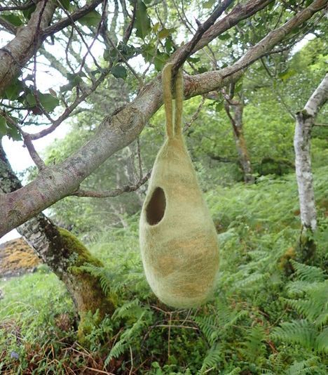 Mairi's message pods, art that will do no harm to Loch Creran which has protected status. Photograph: Mairi Stones Mairi's message pods, art that will do no harm to Loch Creran which has protected status. Photograph: Mairi Stones