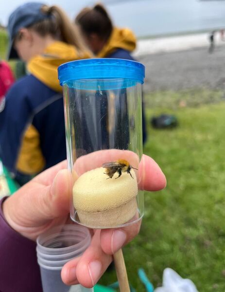 Naturefest returns to Canna
