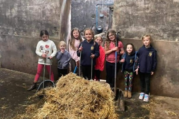Riders enjoyed learning to take care of their ponies. Photograph: ARC. 