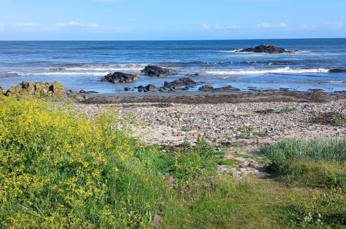Campbeltown Courier - Letters to the Editor 12.6.26