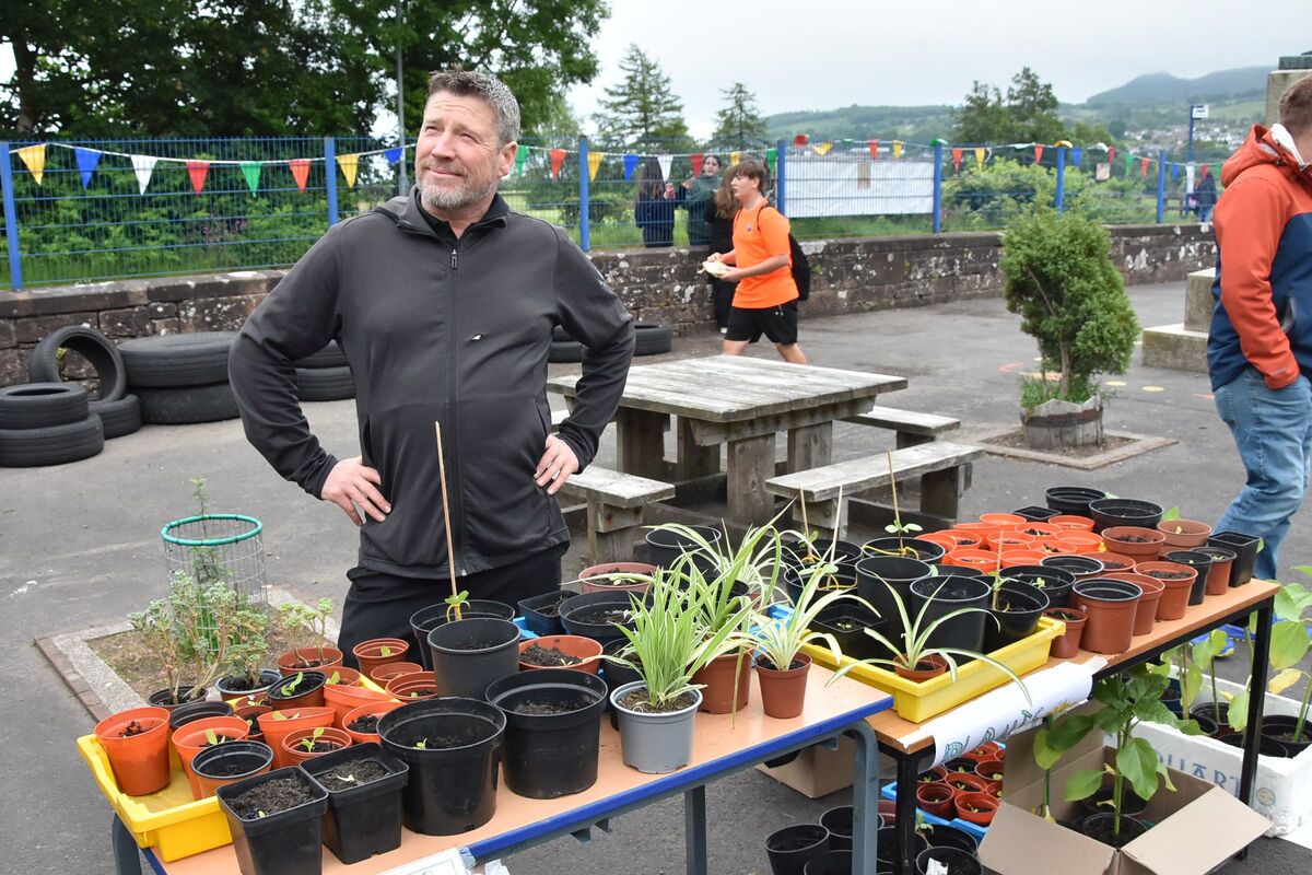 The plant stall, selling tomato and other flowering plants, was a popular attraction. The plant stall, selling tomato and other flowering plants, was a popular attraction.