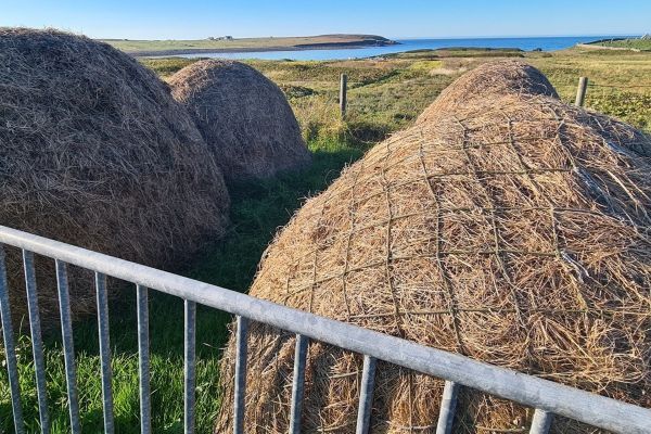 NO T25 Crofters research project 02 Traditional hay stacks for animal feed West Side of Lewis (c) Jon Macleod web