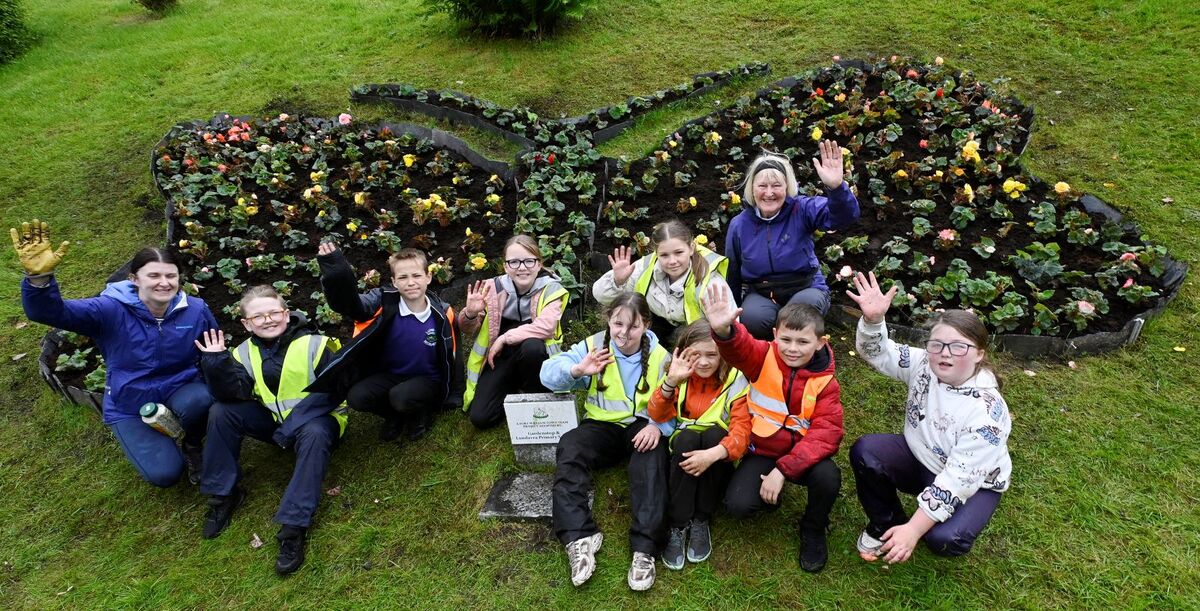 WEB NO F26 Lundavra Primary School 26 Butterfly Planting IF