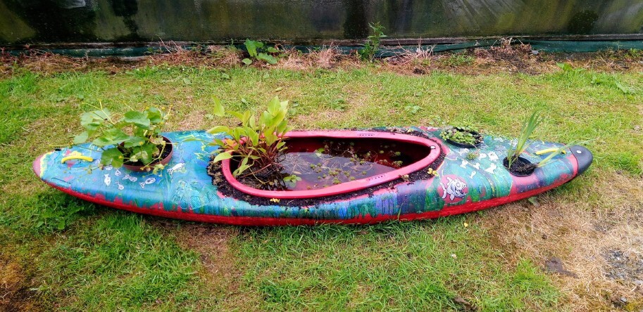 Oban High School nominated for pocket garden award