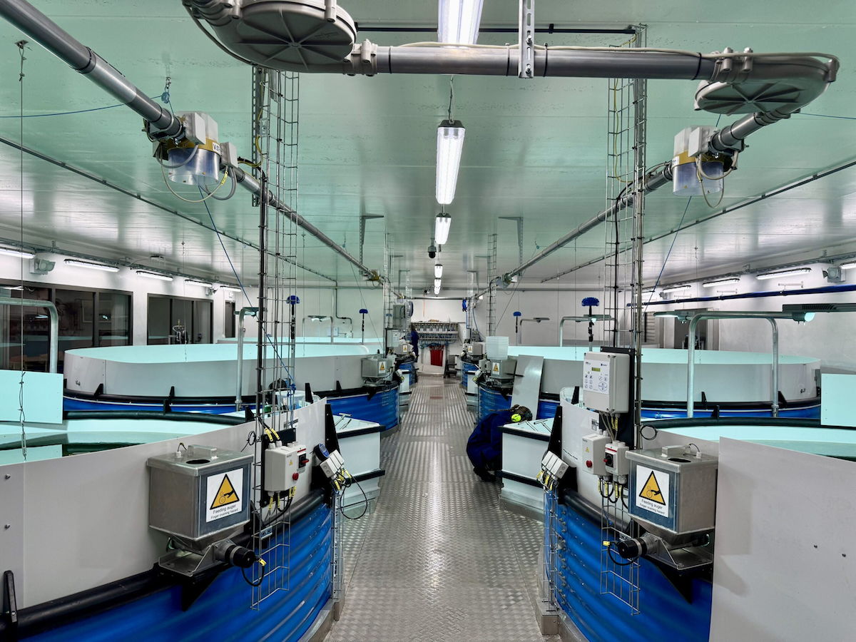 Laxey hatchery Iceland