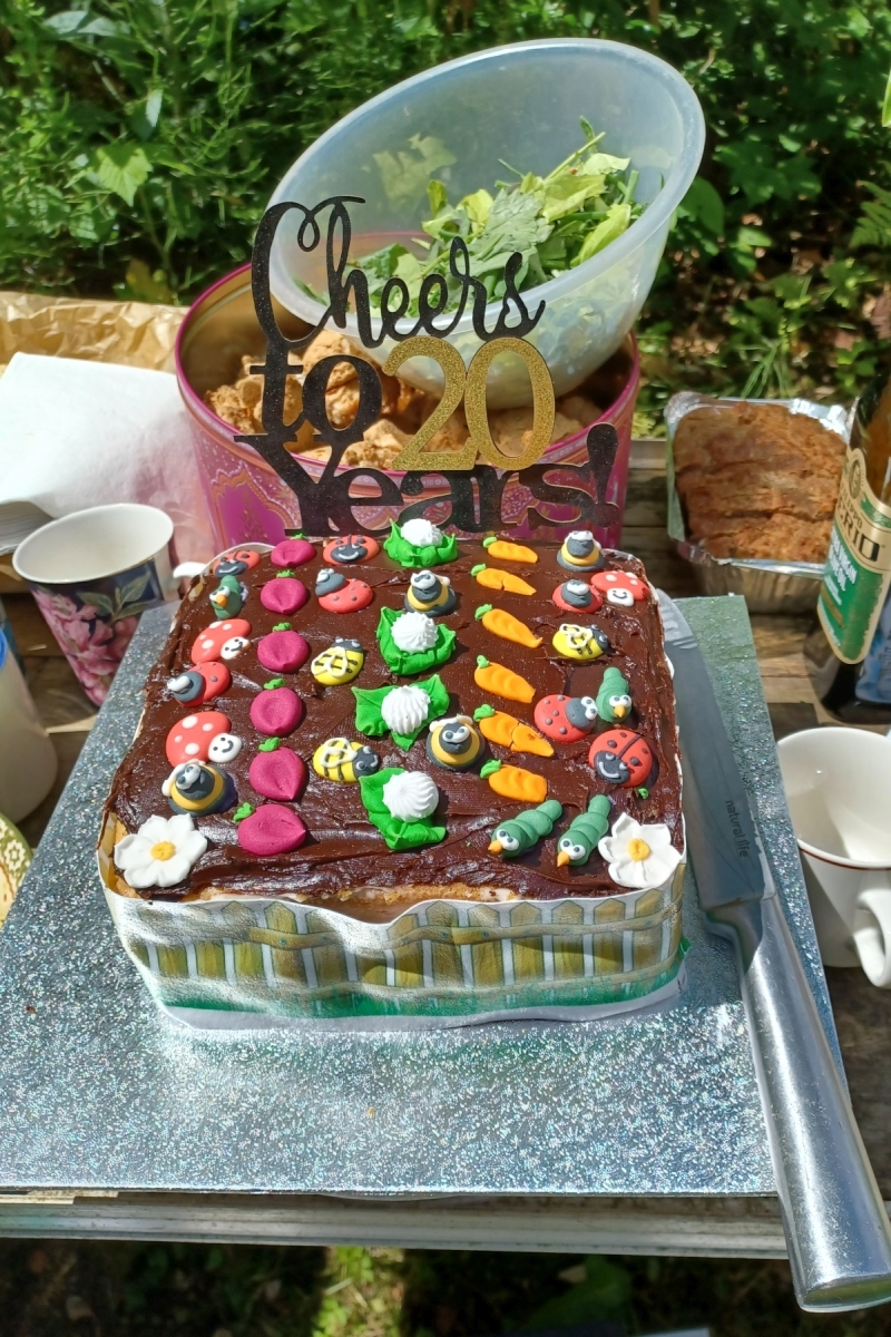 Tarbert Healing Garden's 20th anniversary 'garden' cake. Photograph: Dr James Paterson