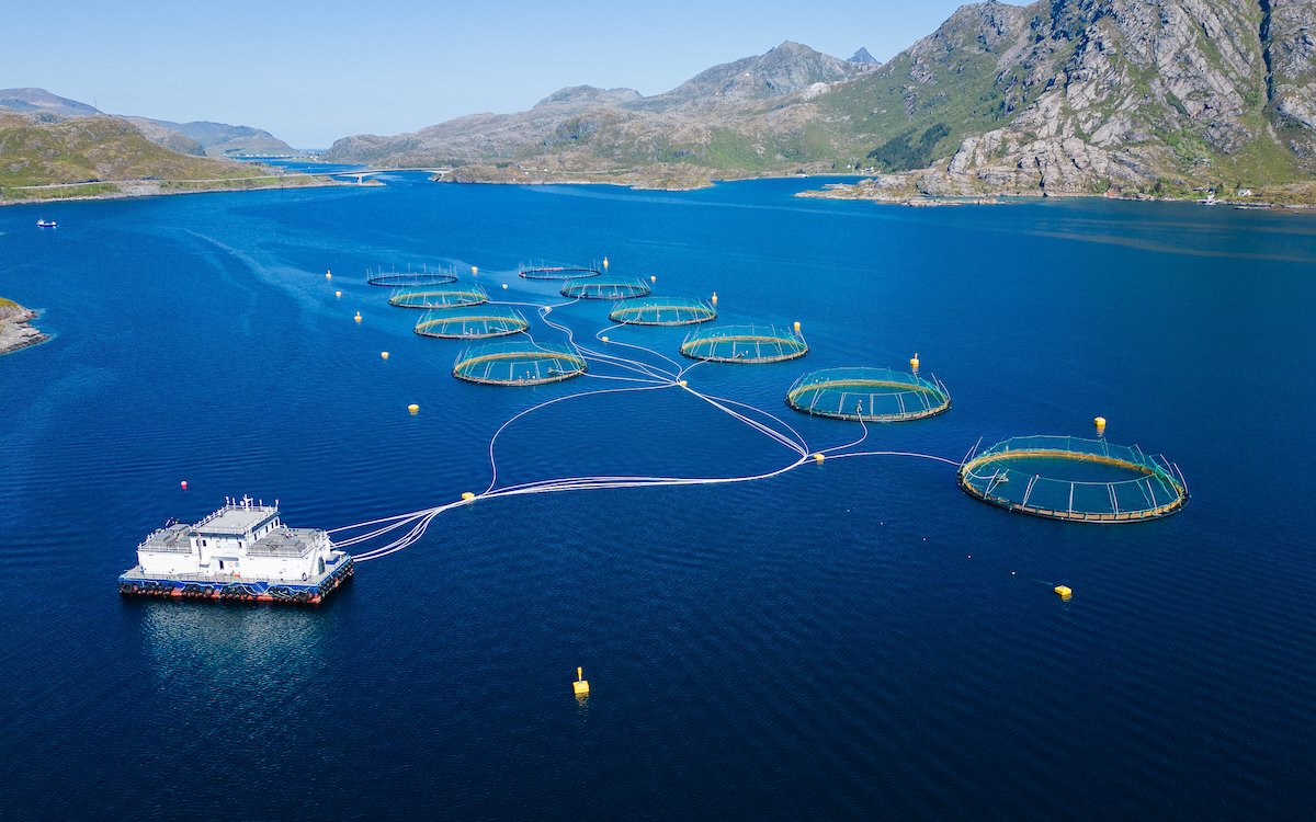 sea cages AdobeStock 703969876 sea cages AdobeStock 703969876