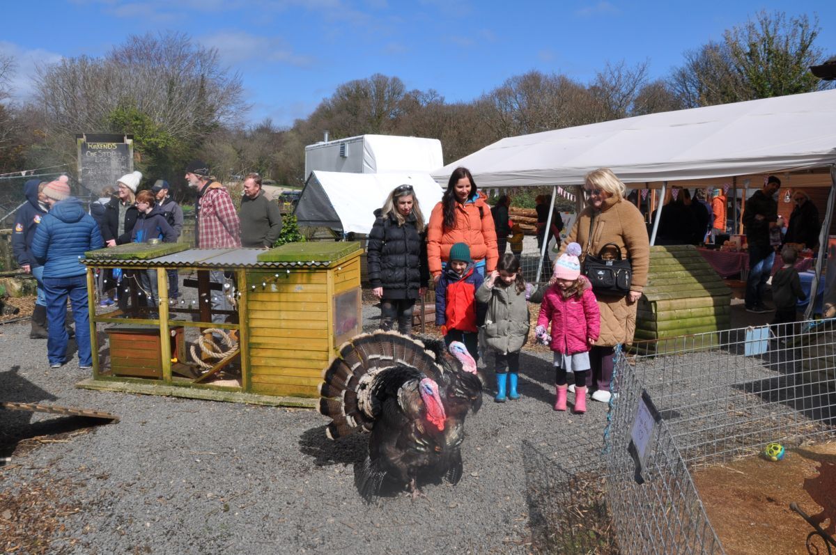 Visitors browse the caged and free range animals at a previous Arran Animal Rescue Centre open day.