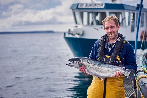 Soil Association chief downplays reports that Scottish organic salmon could lose its status