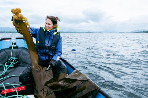 Community support can grow seaweed industry