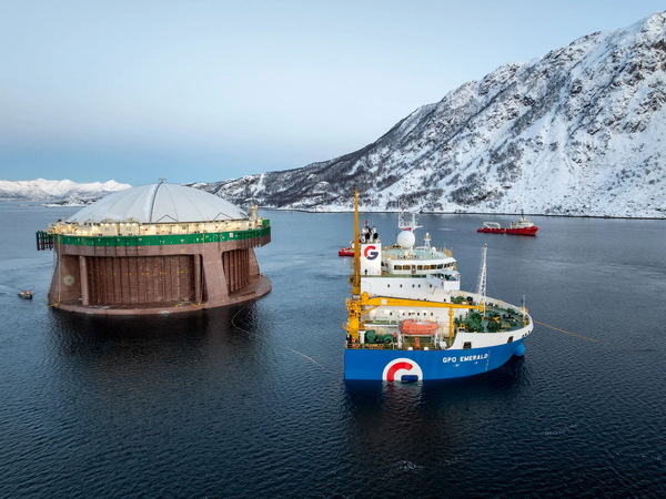 Arctic salmon farmer results hit by ISA and algae blows