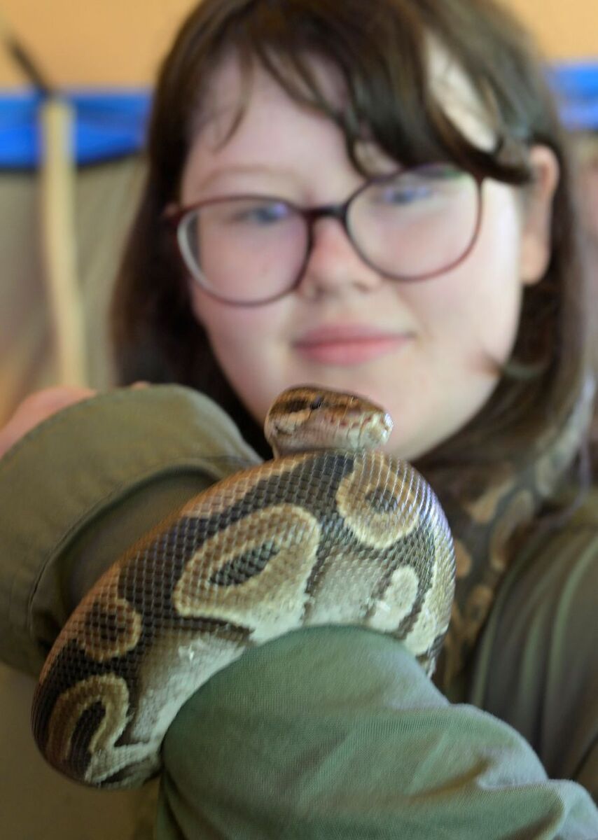 WEB NO F27 Kinlochleven Gala Day 26 Freya Nicolson Python IF