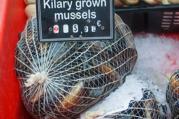EU approves Irish fishing and aquaculture state aid package