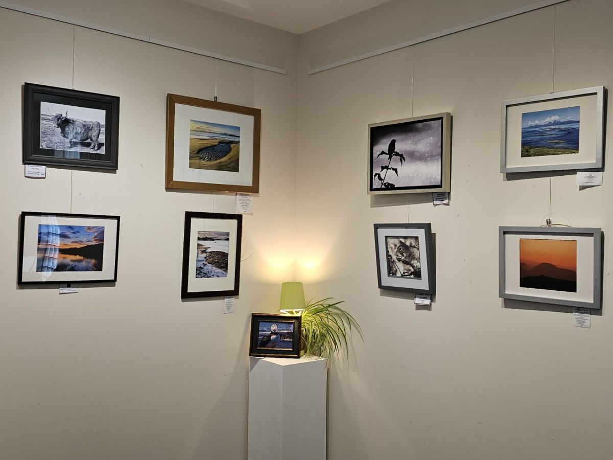 NO A28 DCCandMACCexhibition 26WEB pic Dochas Carers Centre 