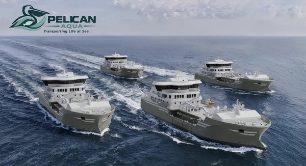 New wellboat company makes stock exchange debut