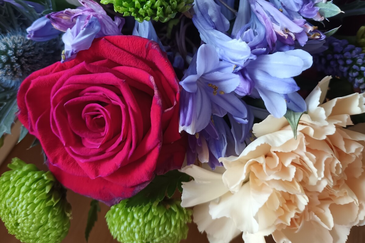 Flowers and frocks set to make festival of colour in Invergarry