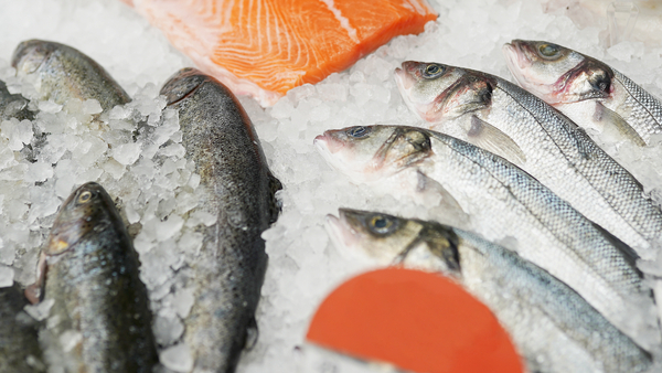 Global turbulence dents Norway&rsquo;s seafood exports in first half
