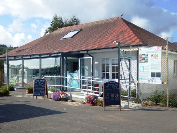 Explore Arran's Incredible Marine Life with COAST