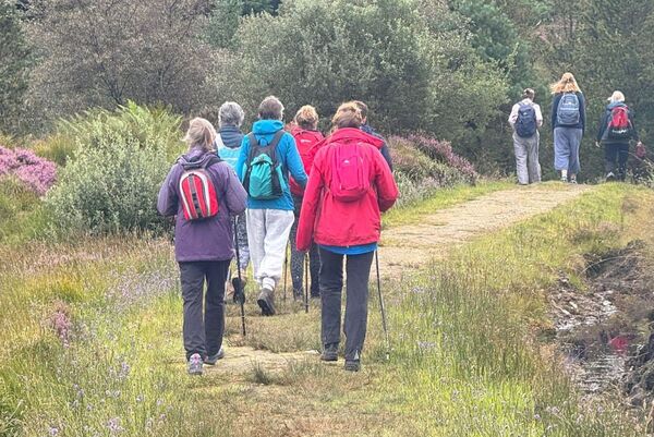 Free guided walks will take place across Kintyre throughout August as part of the Kintyre Way&rsquo;s 20th anniversary WalkFest.