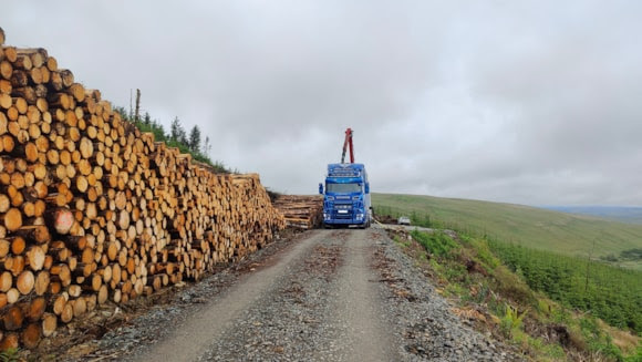 Logging roads to see significant upgrades
