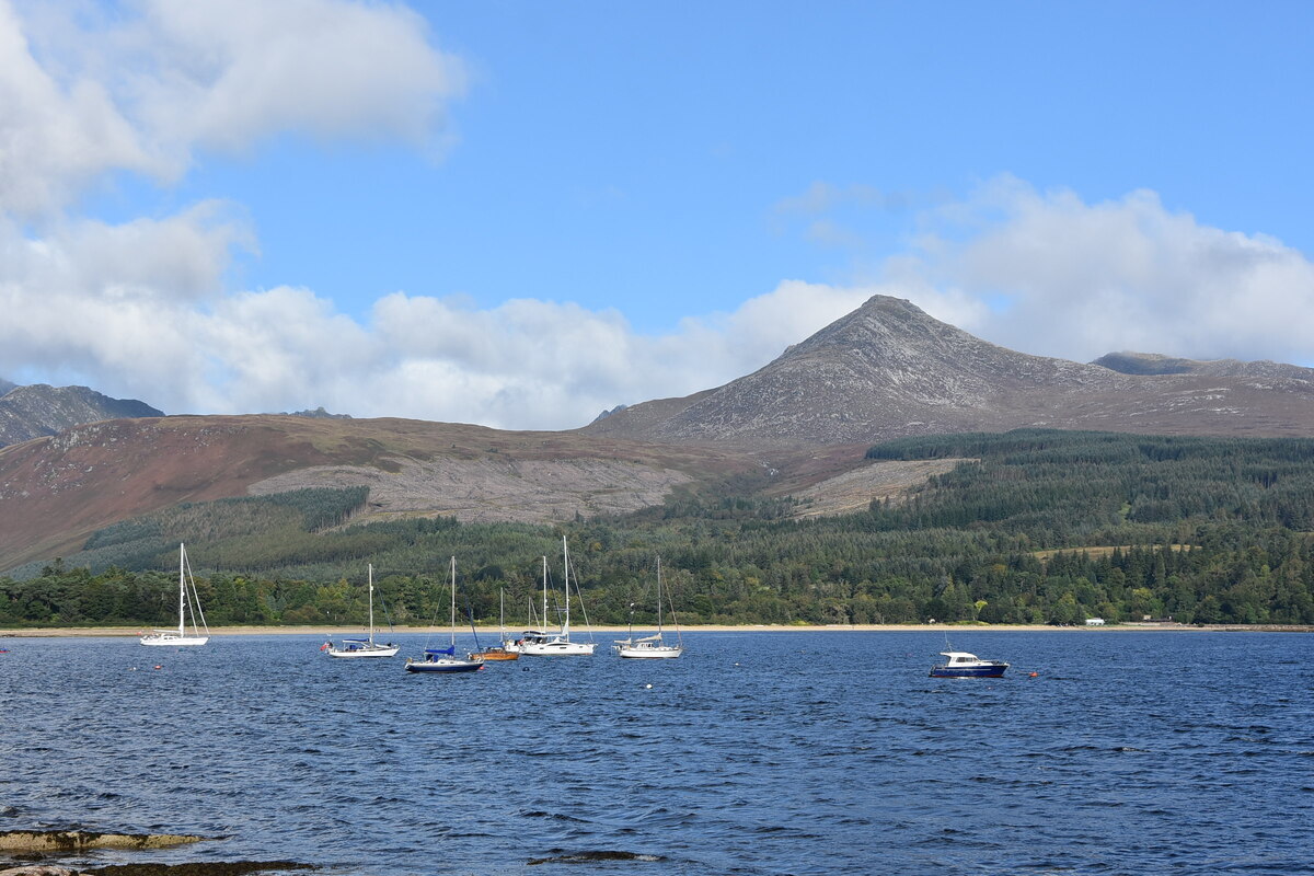 Independence supporters “set sail for freedom”