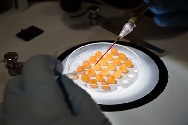 Genetics: a new age of food production