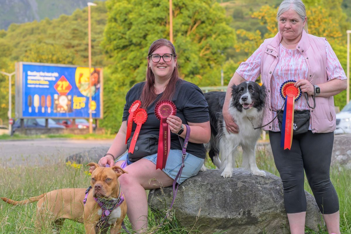 Companion dogs take a bow wow wow at annual show