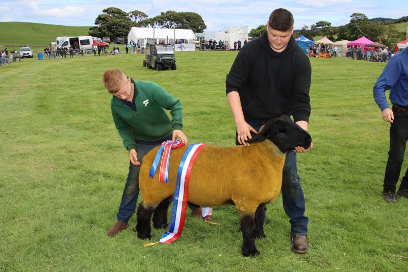 LS ZZkintyreshow01 25 champion of champions 2026