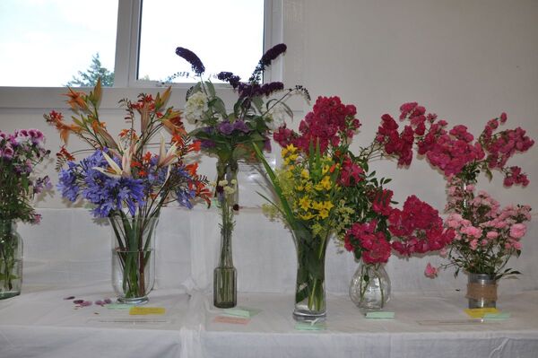 Flower show blooms as generations come together for Tayvallich fundraiser