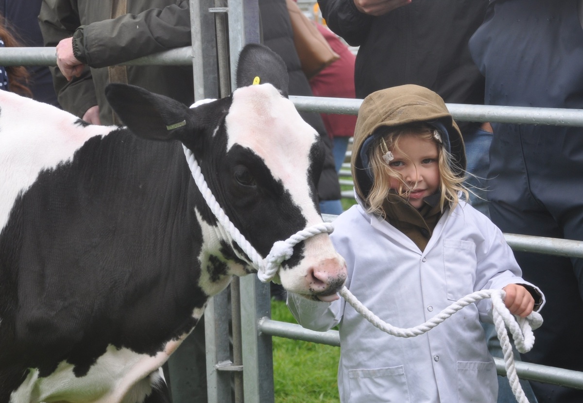 John Murchie’s five-month-old dairy calf from Tigheanfraoch, led by Lucy Lindsay.