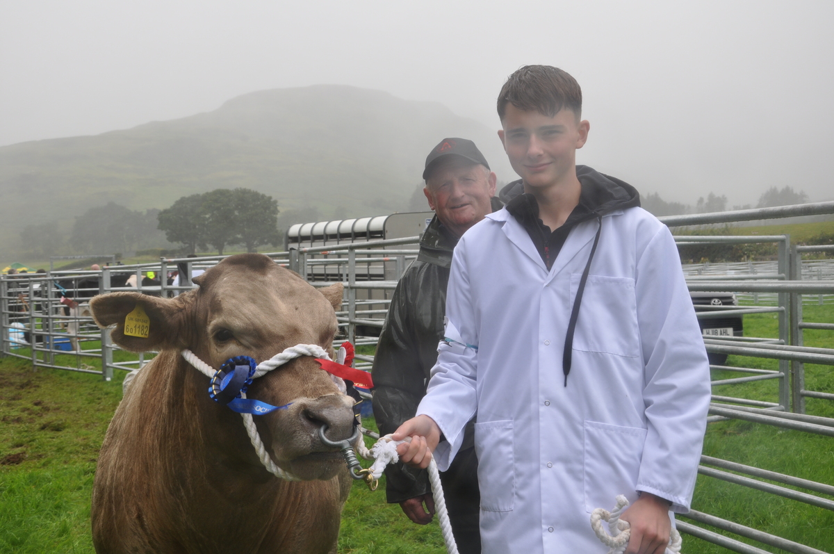 Logan Barr showed Charolais, Angus cross beef calf, Mouse, for Robin Irving of Hawthorne Farm, Whiting Bay.