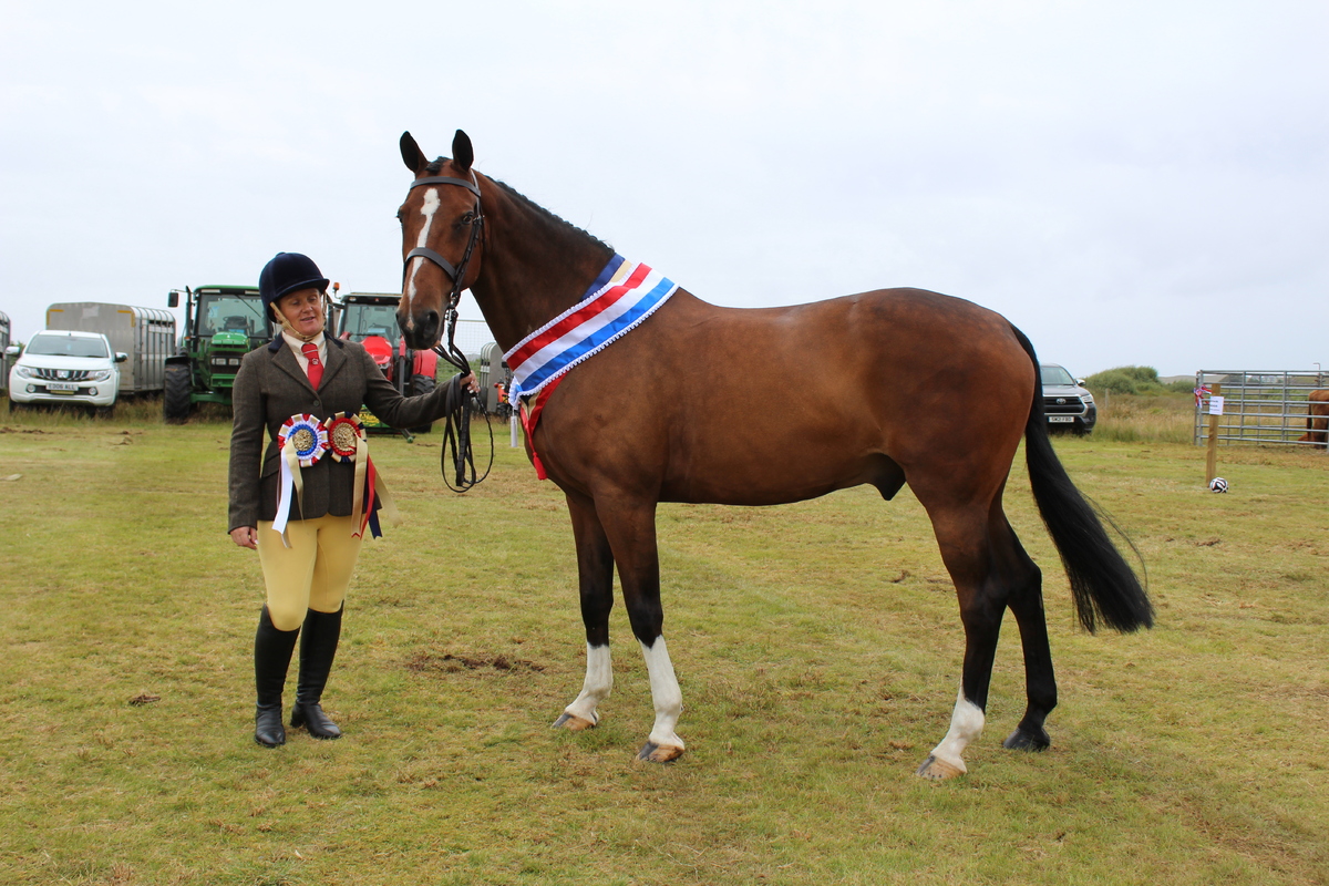 Champion of Champions
