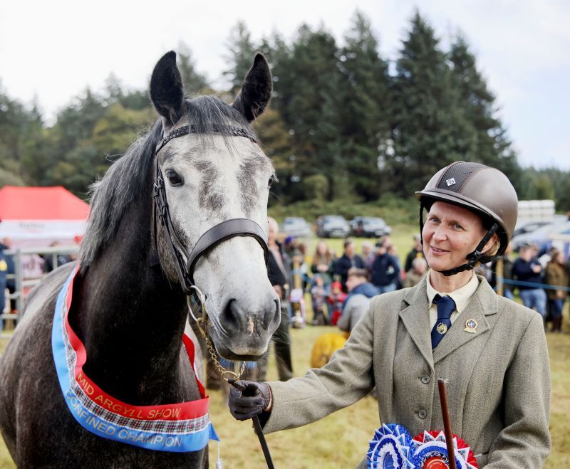 LS ZZChampionConfinedhorse Ruadh 2026
