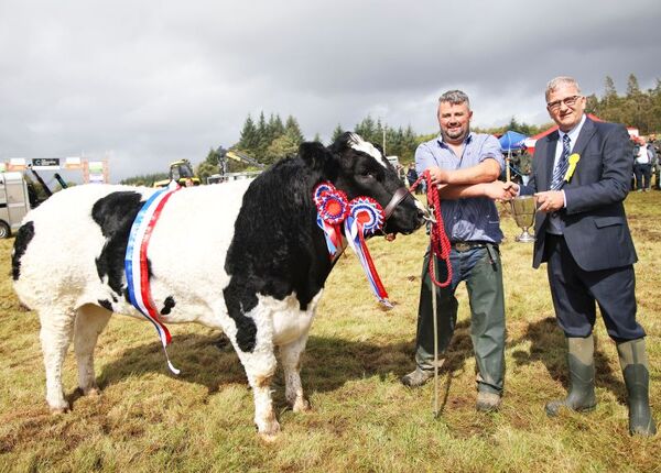 LS ZZSupreme Champion 2026