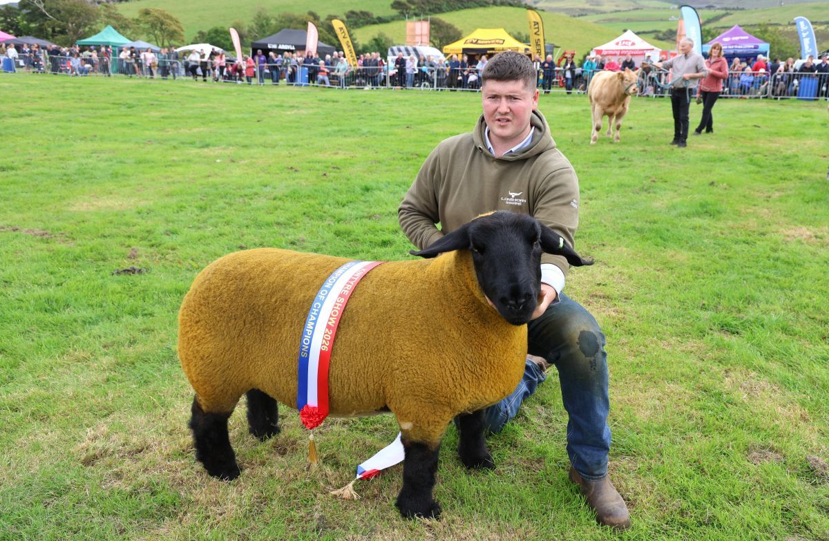Islay Suffolk takes top honour at Kintyre Agricultural Show