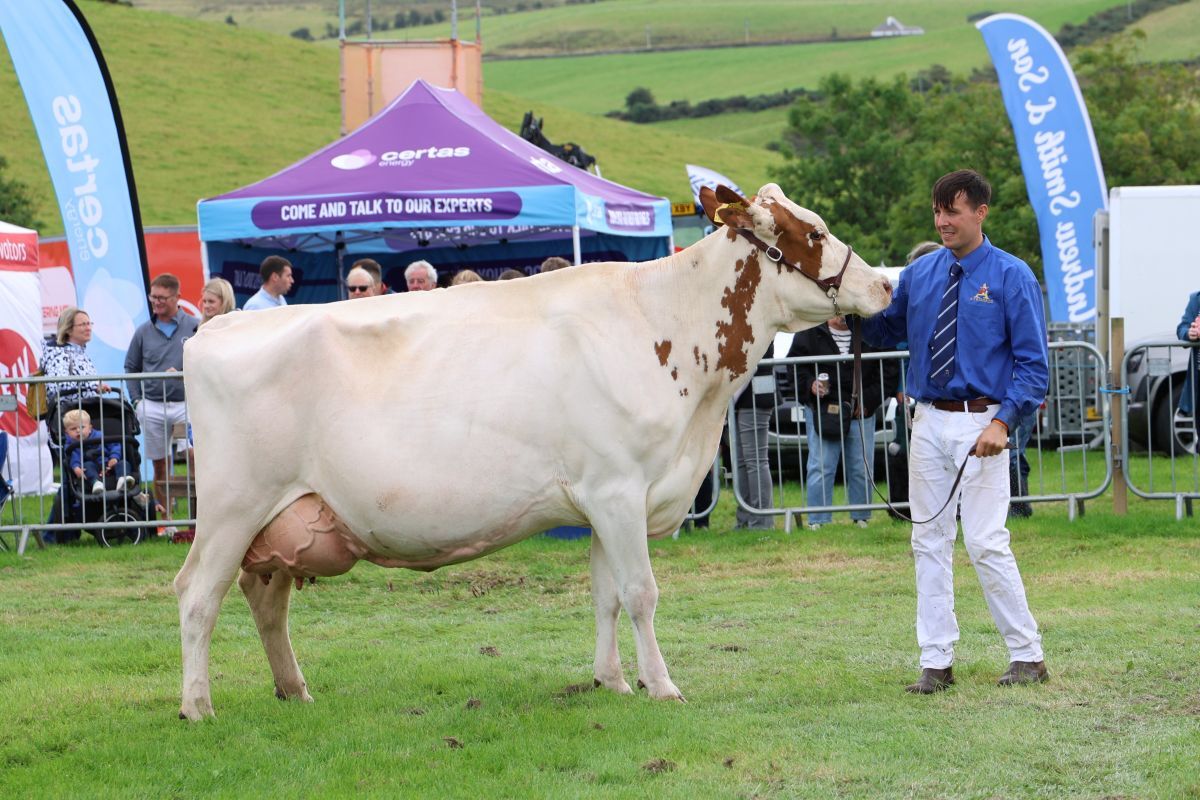 Robin Barr of Clochkeil presents the dairy champion. Photograph: Kenny Craig. Robin Barr of Clochkeil presents the dairy champion. Photograph: Kenny Craig.