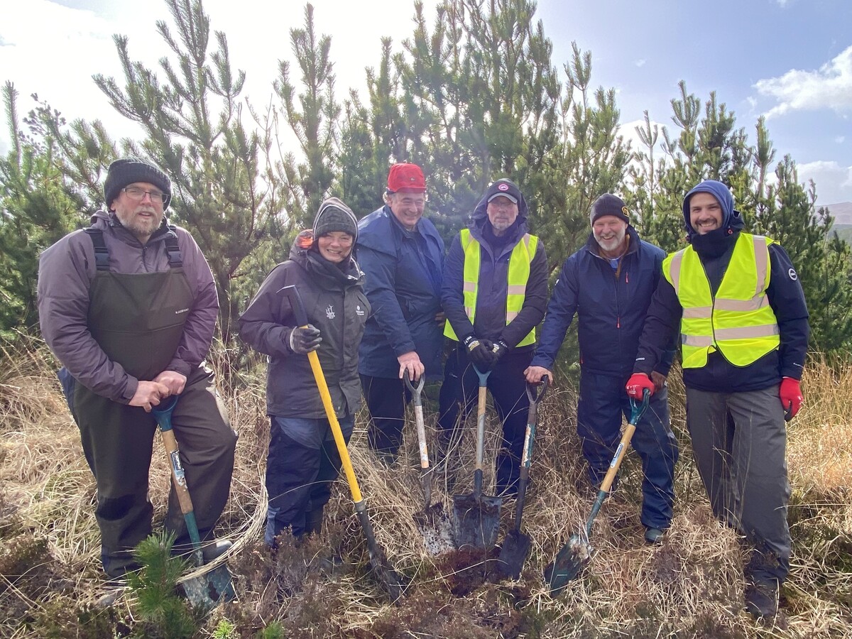 300,000 native trees planted in Western Isles in a decade