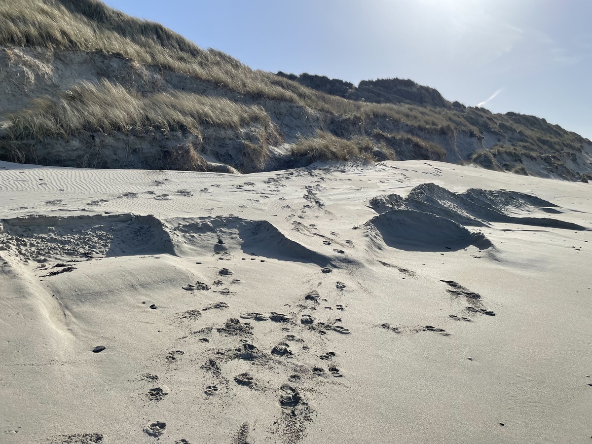 no t33 Tiree beach excavations 2 NatureScot