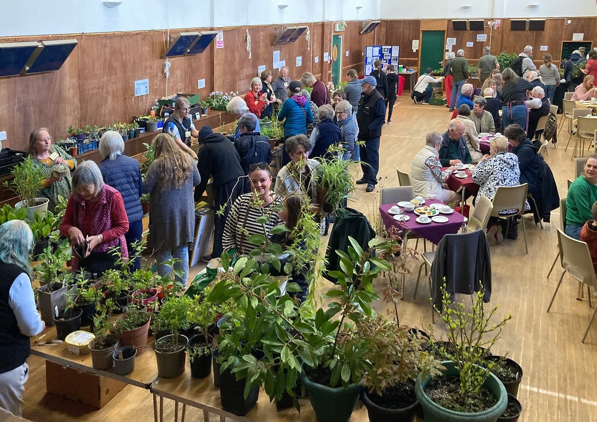 no t33 crowds at former North Connel District Horticultural Show