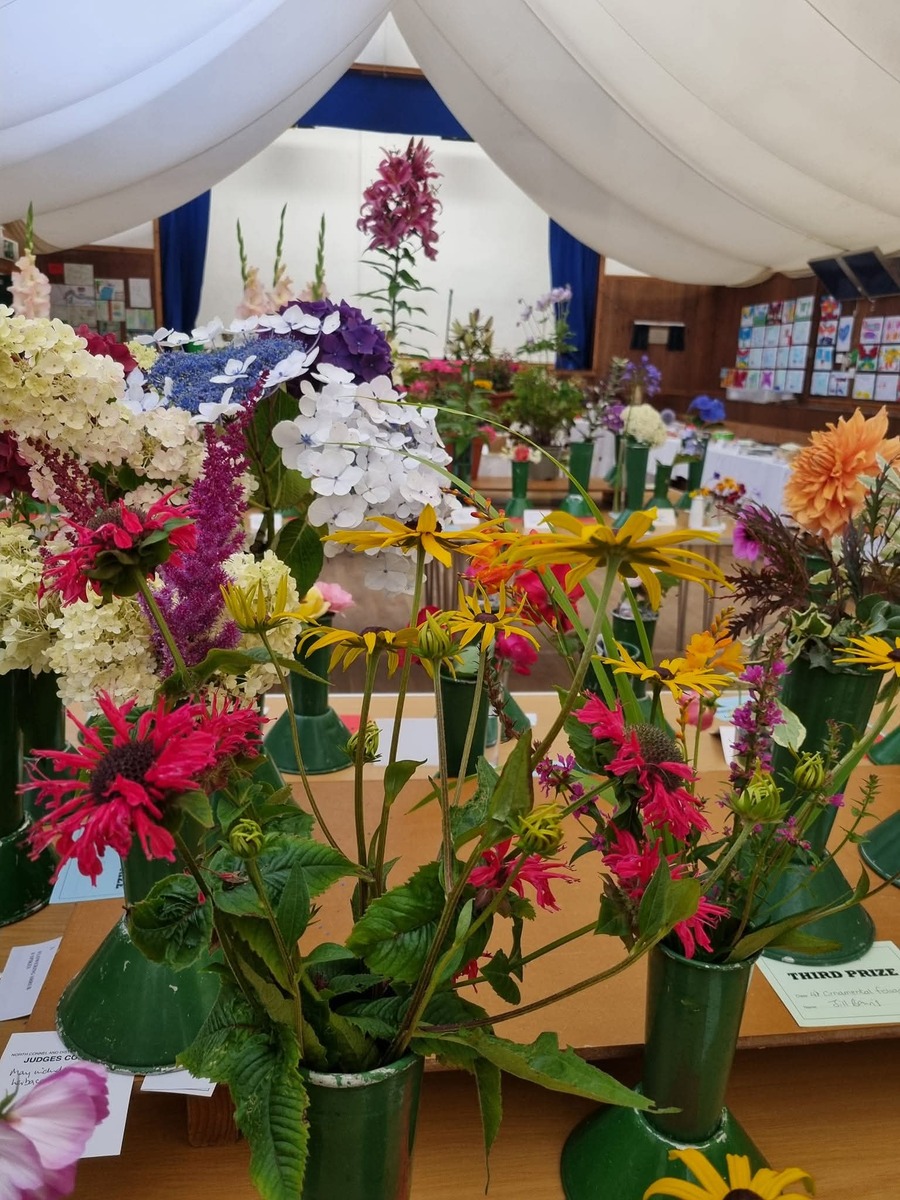 no t33 flower entries from former North Connel District Horticultural Show no t33 flower entries from former North Connel District Horticultural Show