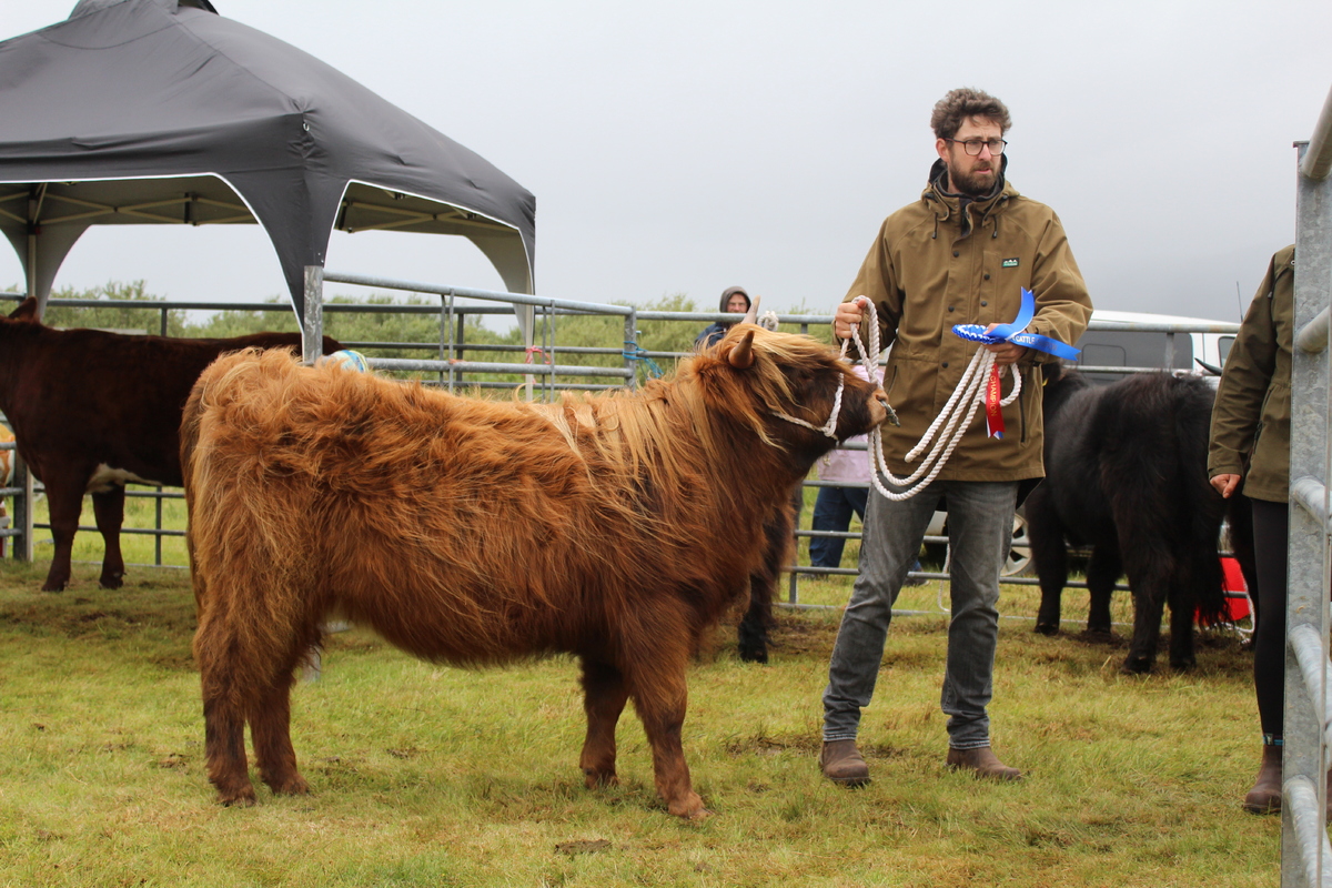 no t33 janna bunessan show 2026 Best Highlander Ardalanish