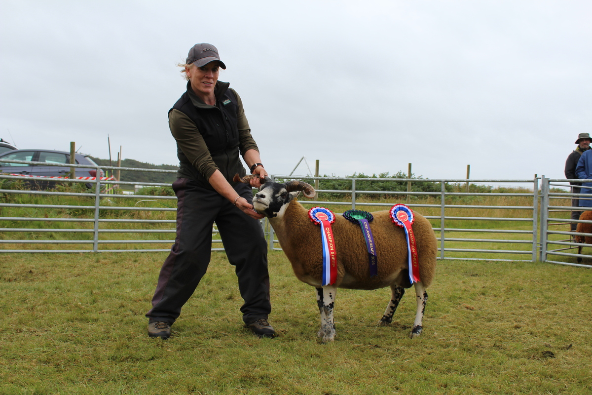 no t33 janna bunessan show 2026 Champ sheep